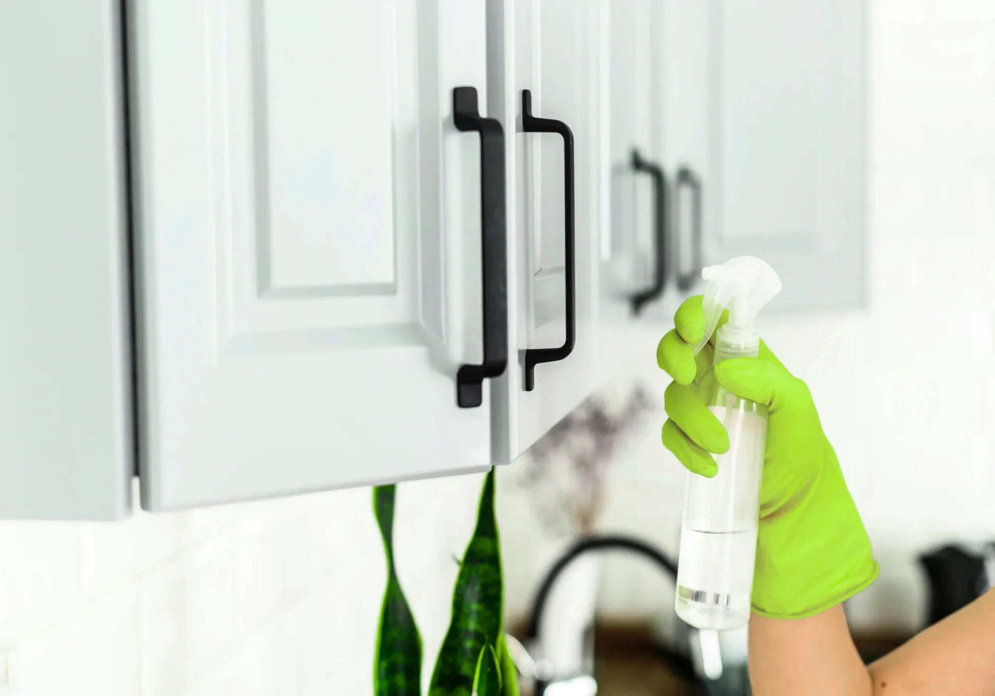 Services Include Post Construction Cleaning