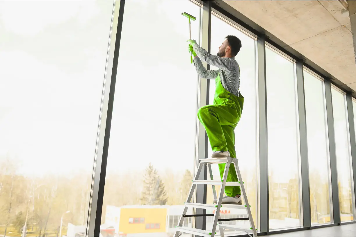 Window Cleaning Service